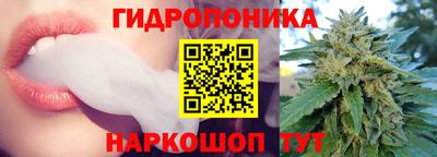 прущие крисы Шебекино